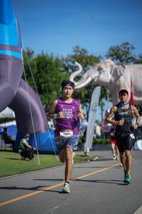 BIB: 
                            <button type="button" onclick="openModal(26542239)" class="btn btn-primary btn-sm float-right btn-popup" data-toggle="modal" data-target=".modal-high-quality">
                        <i class="fas fa-shopping-cart"></i> Add to Cart
                    </button>
                                            <button type="button" onclick="isThisMe(26542239, true)" class="btn btn-success btn-sm float-right btn-popup btn-isme hidden" data-toggle="tooltip" data-placement="bottom" title="นี่คือรูปของคุณใช่ไหม คลิกที่นี่เพื่อเอาเข้าอัลบั้ม">
                        <i class="fas fa-plus"></i> Add to album
                    </button>
                    <button type="button" onclick="isThisMe(26542239, false)" class="btn btn-warning btn-sm float-right btn-popup btn-isnotme hidden">
                        <i class="fas fa-ban"></i> Remove from album
                    </button>